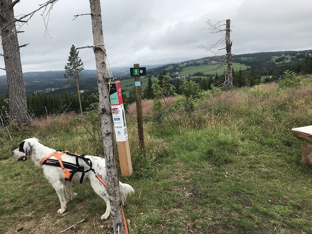 På Madshushaugen (Knappen )