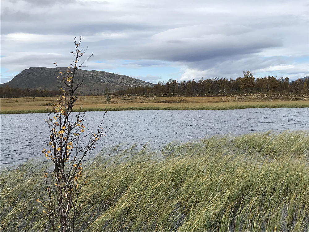 Moatjønnet