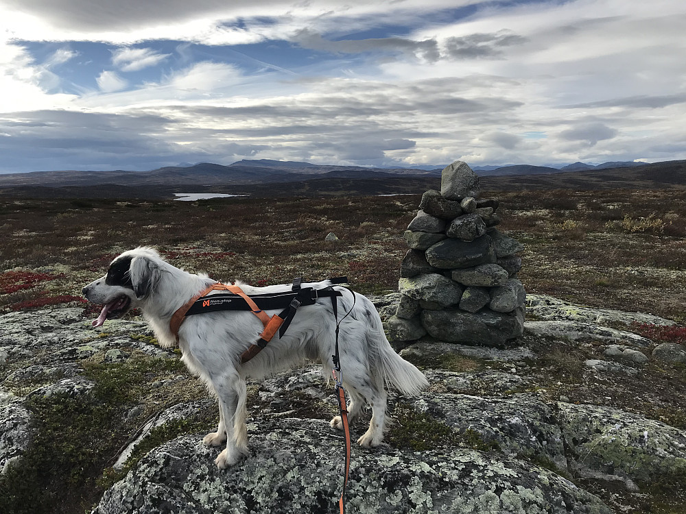 Nybygd varde på Vetafjellet