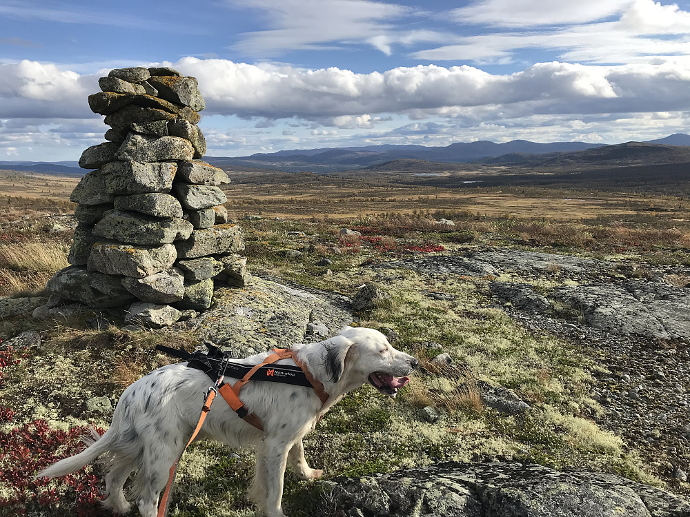 Vetafjellet sør