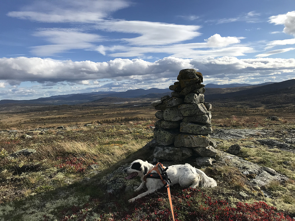 Vetafjellet sør