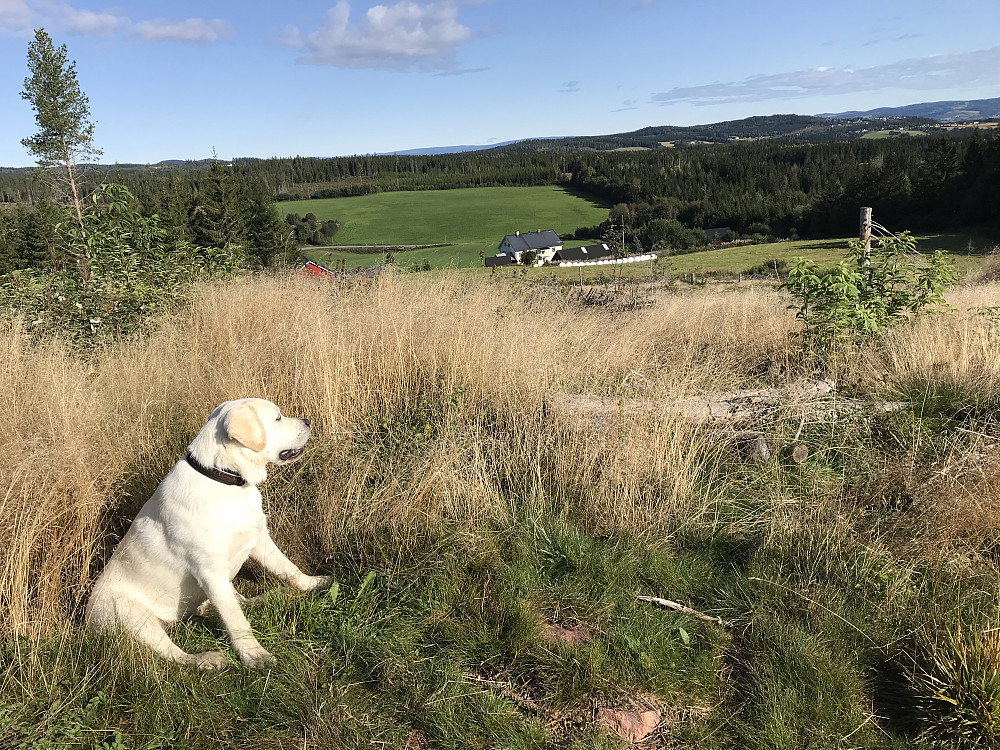På Madshushaugen