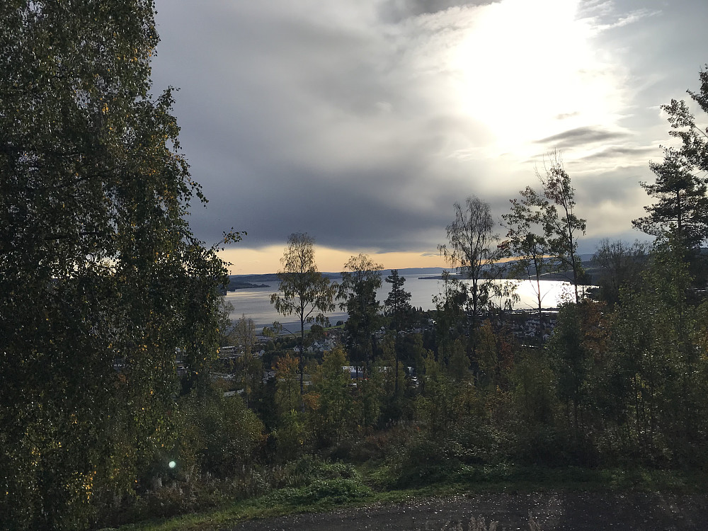 Hovdetoppen
