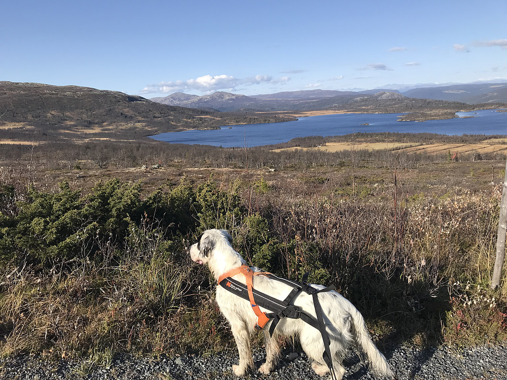 Nedre Ongsjøen med Gråhøer bak