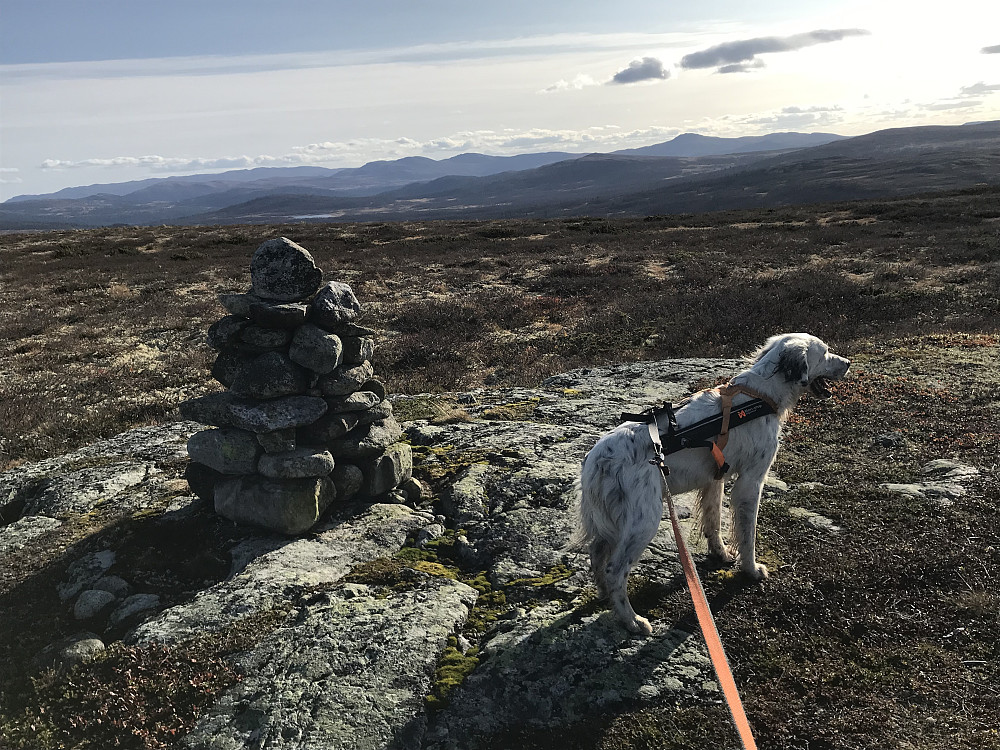 Vetafjellet