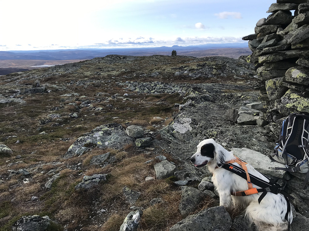 Ongsjøfjellet