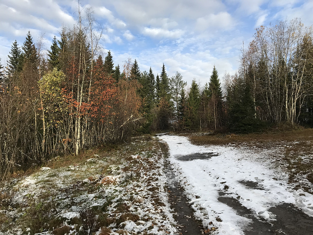 Snø på stien på mye av dagens tur. 