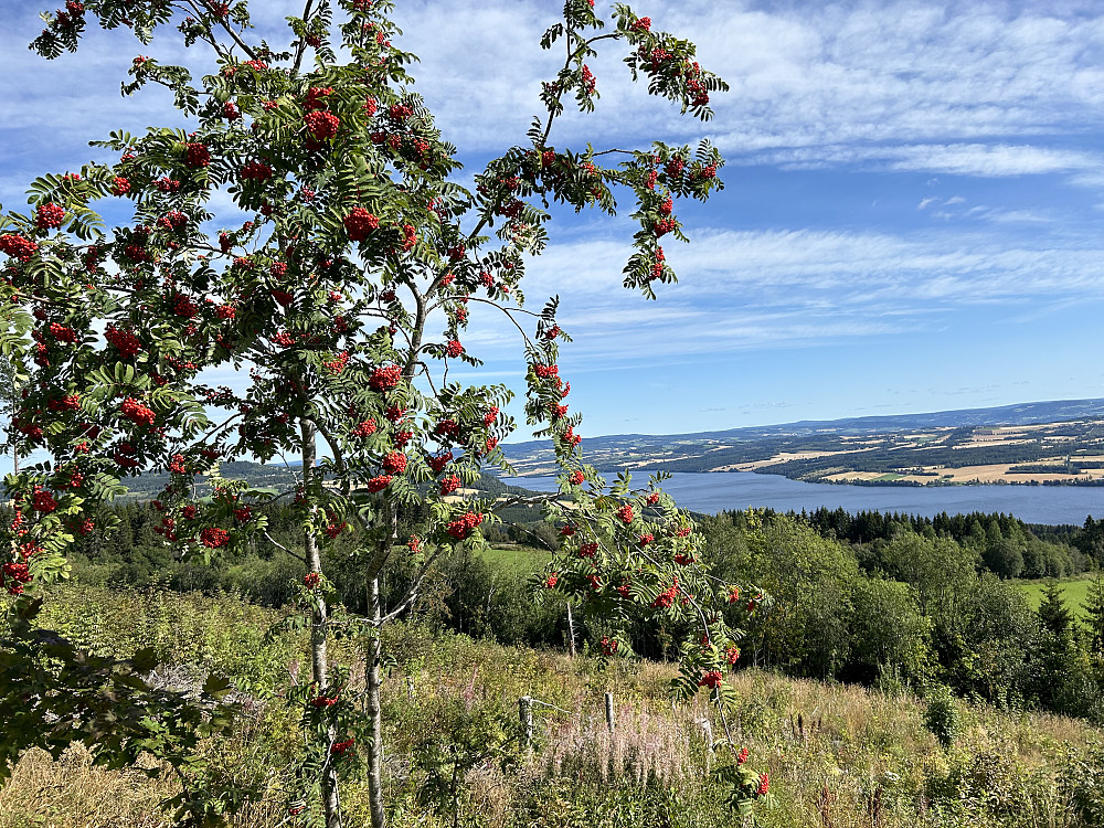På Bergstoppen