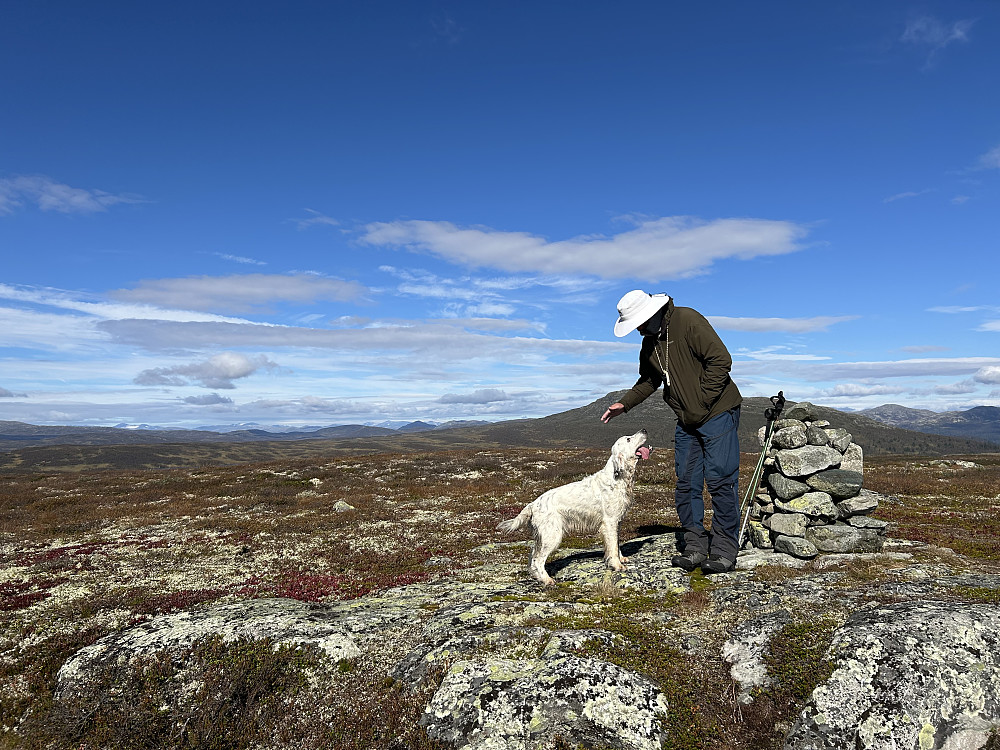 Vetafjellet