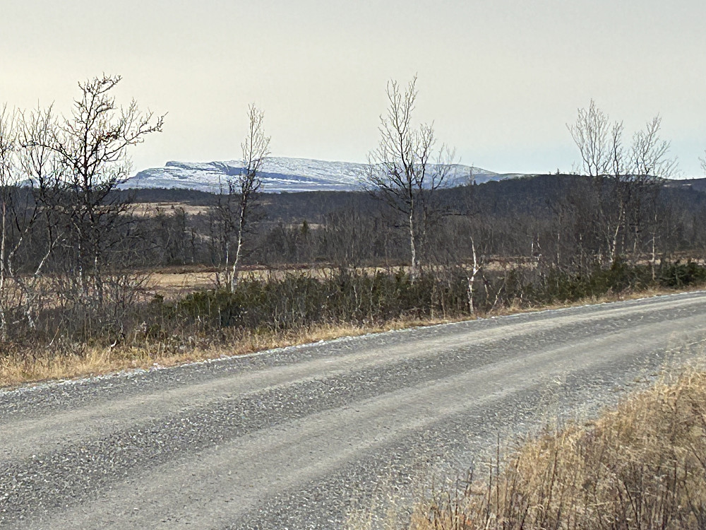 Nordre Langsua sett fra fjellstyretavla