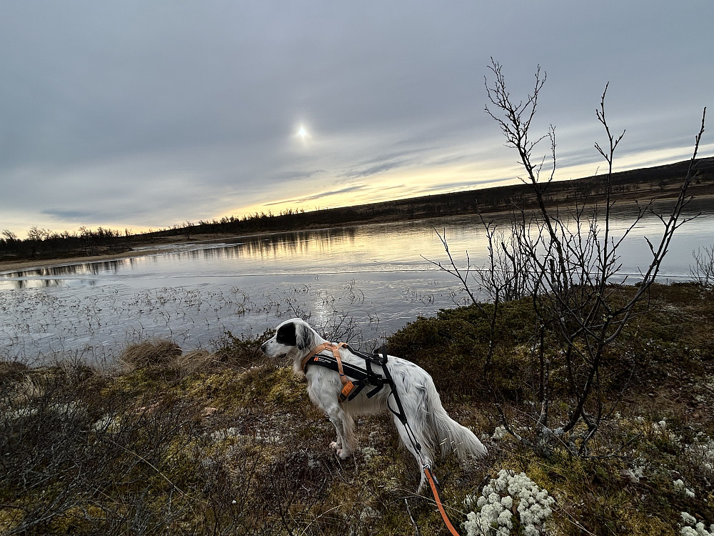Moatjønnet