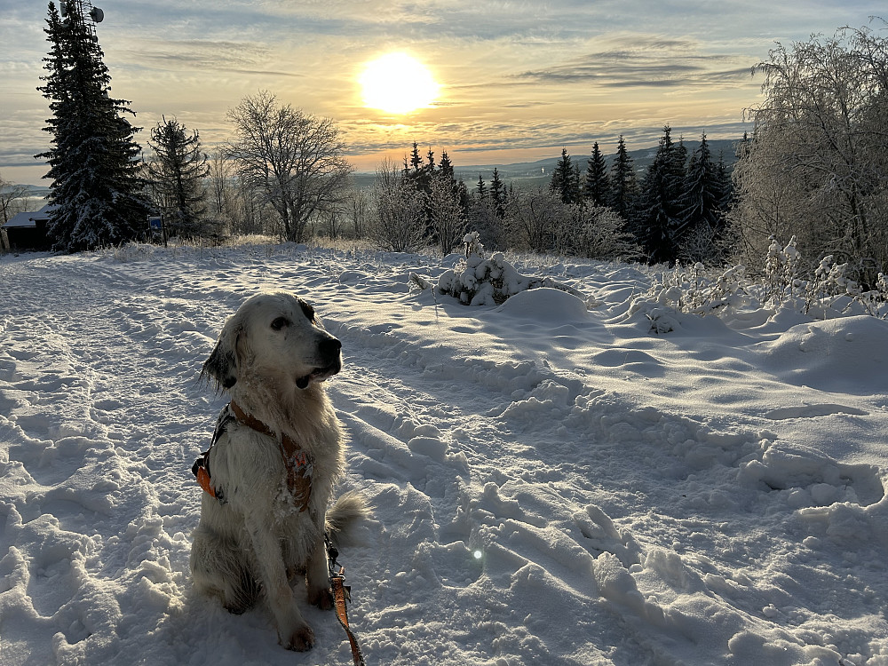 Trym på Bergstoppen