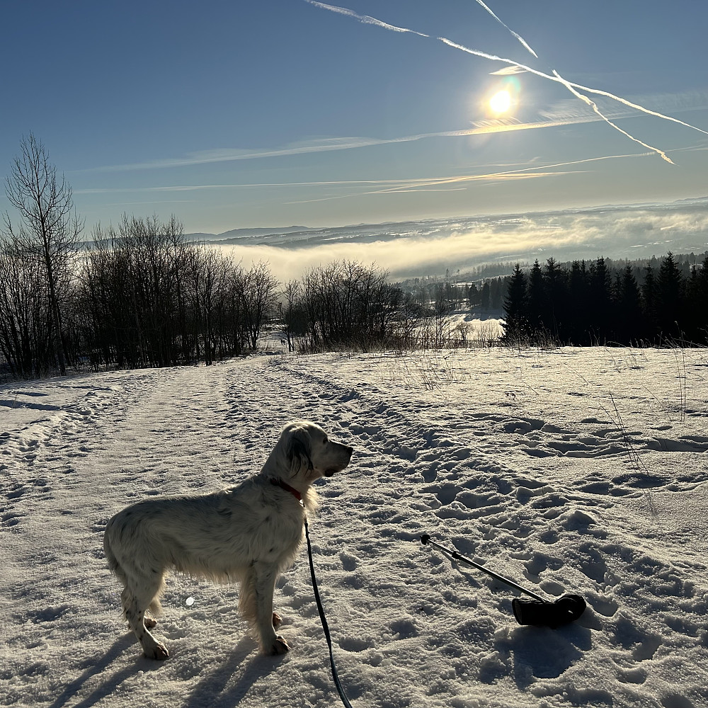 På tur ned fra Bergstoppen. 