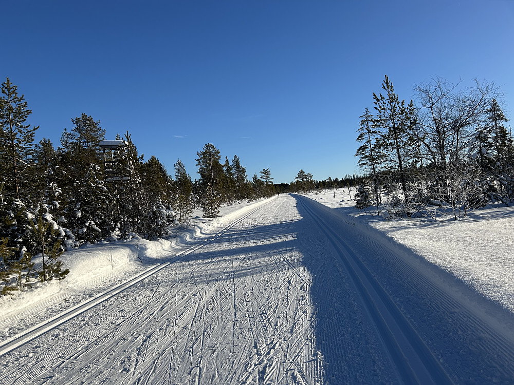 Røgardsmyra