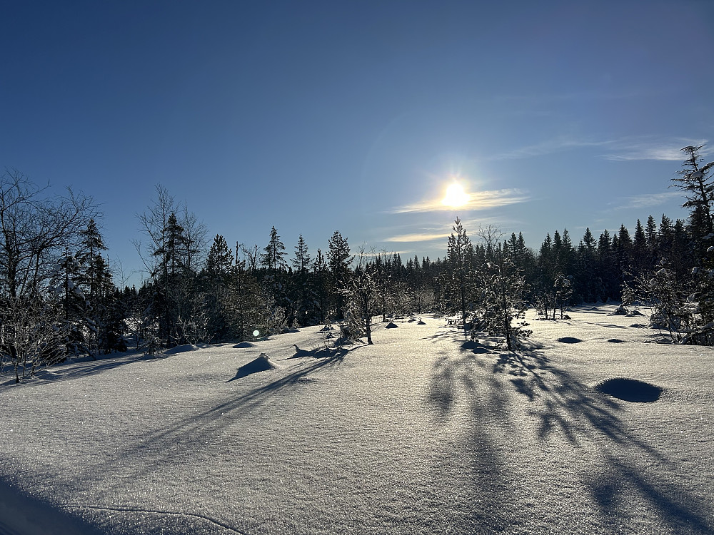 Røgardsmyra