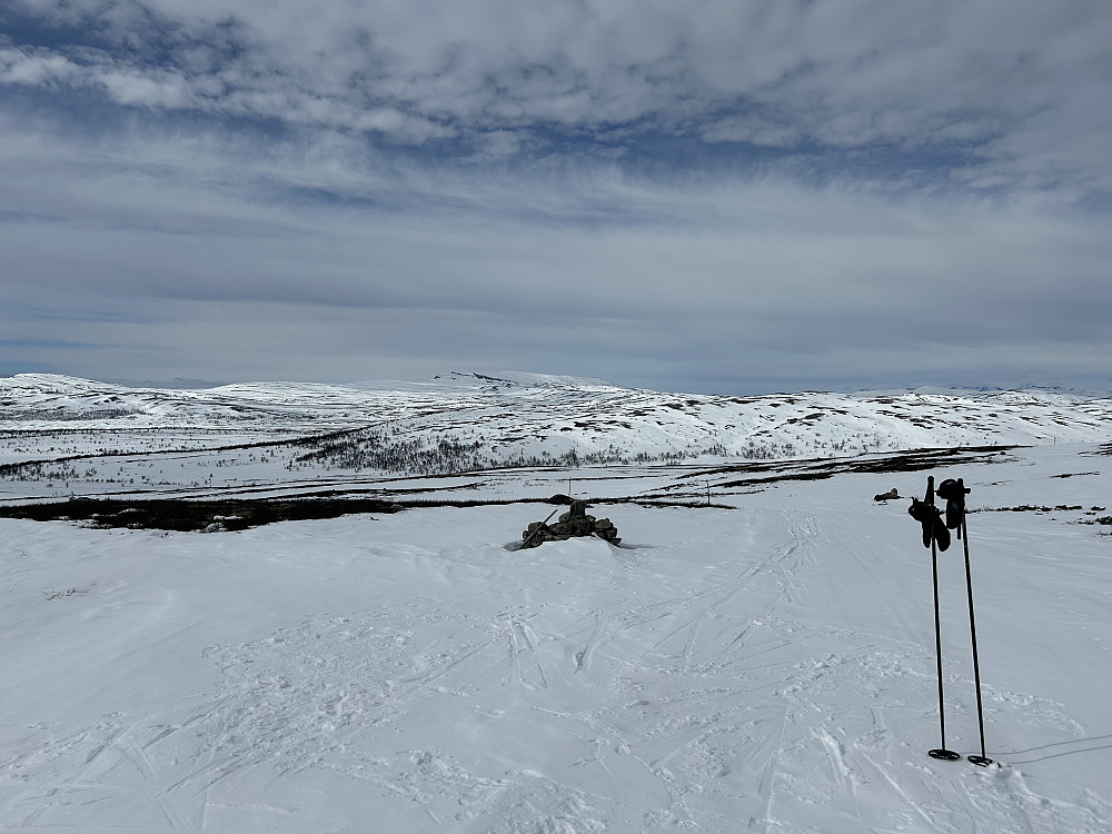 Leppskardet