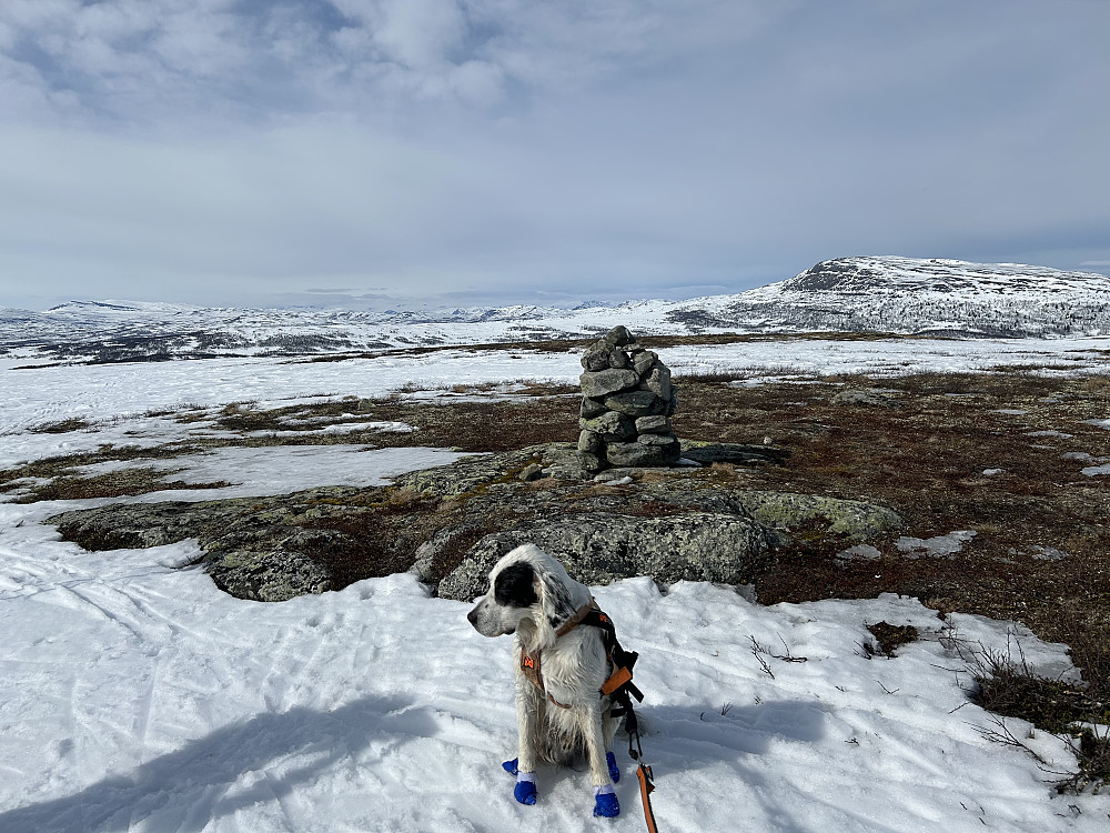Vetafjellet