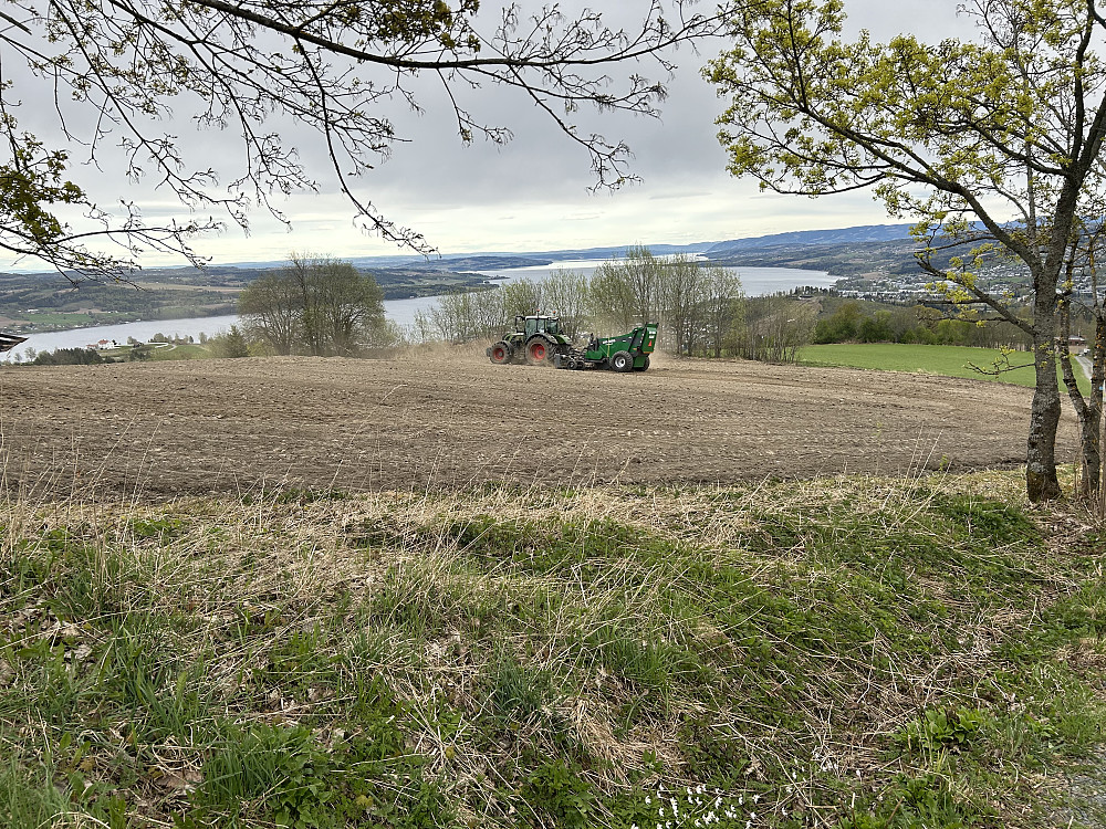 Våronn på Bergsjordet