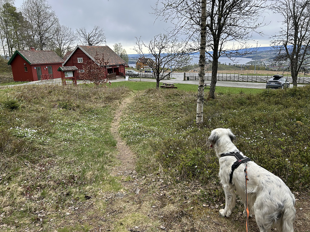 Eiktunet