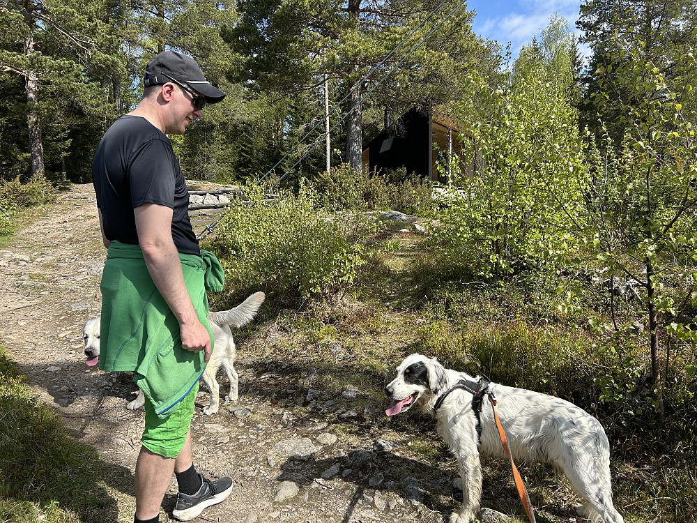 På Knapphaugen