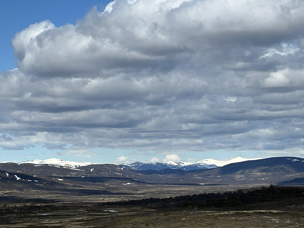 Skomakeråsen