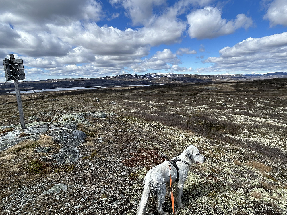 Skomakeråsen