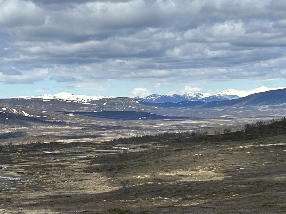 Skomakeråsen