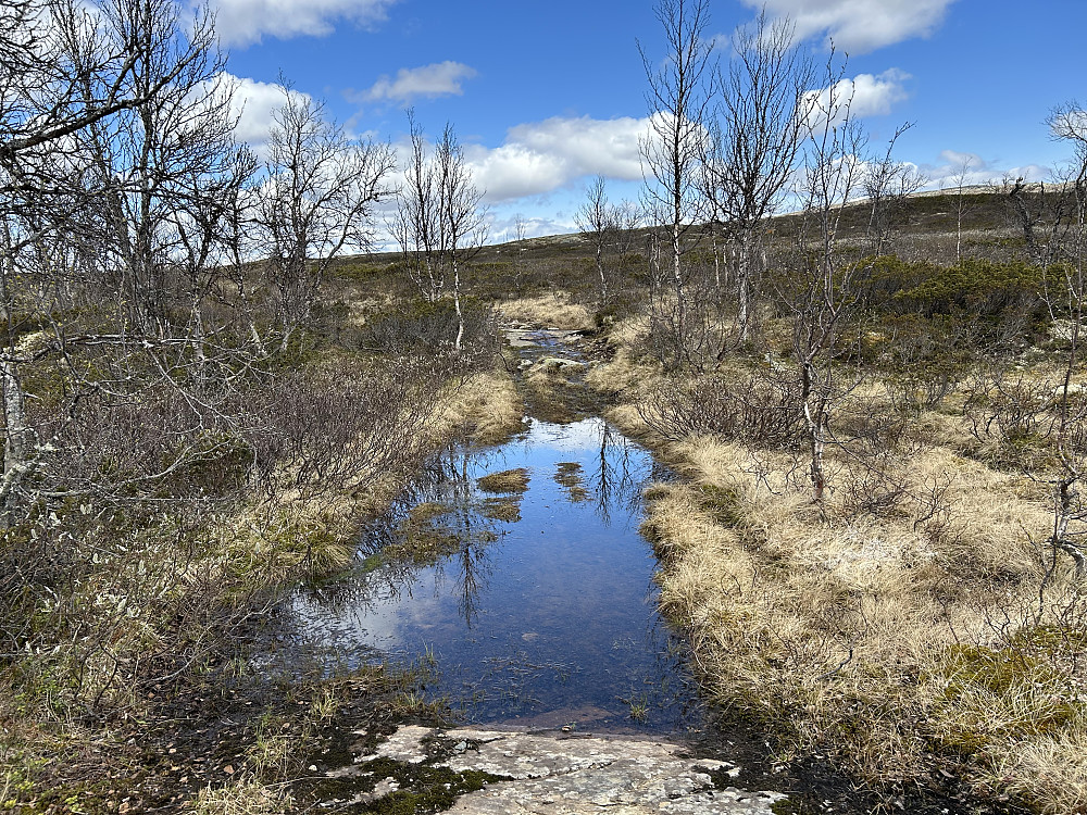 Ganske så bløtt innover råket mot Leppe/ Nordbua