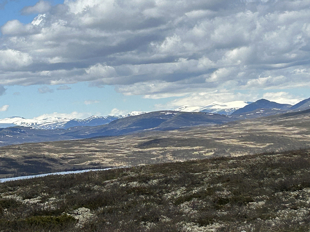 "Jotunheimfjell" bakerst