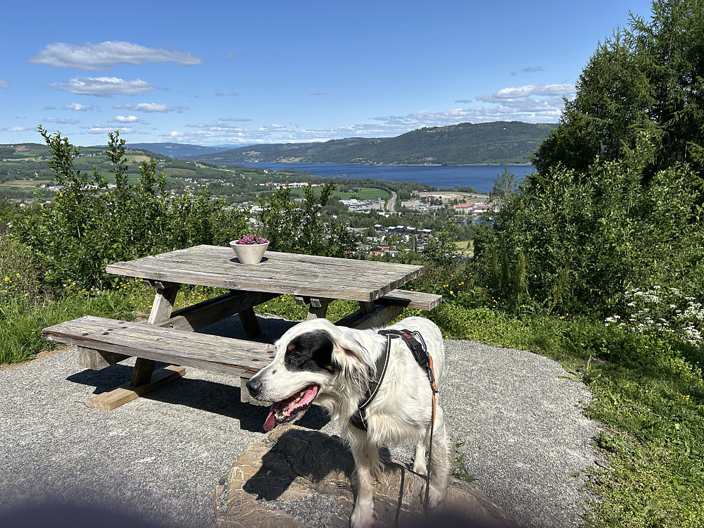 Utsikt mot Biri og Mjøsa
