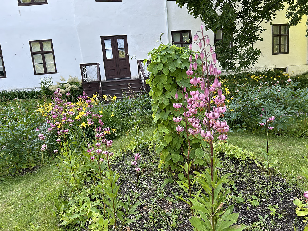 Fra hagen på Gjøvik gård