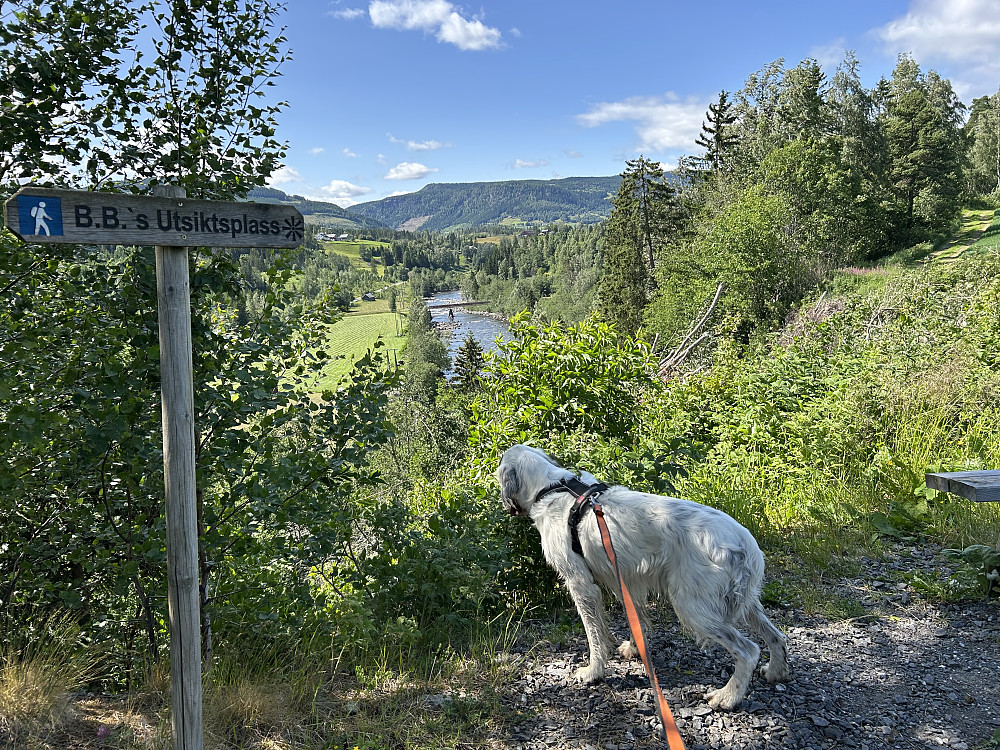 Utsikt på turen langs Gausa( her måtte vi litt opp fra elva )