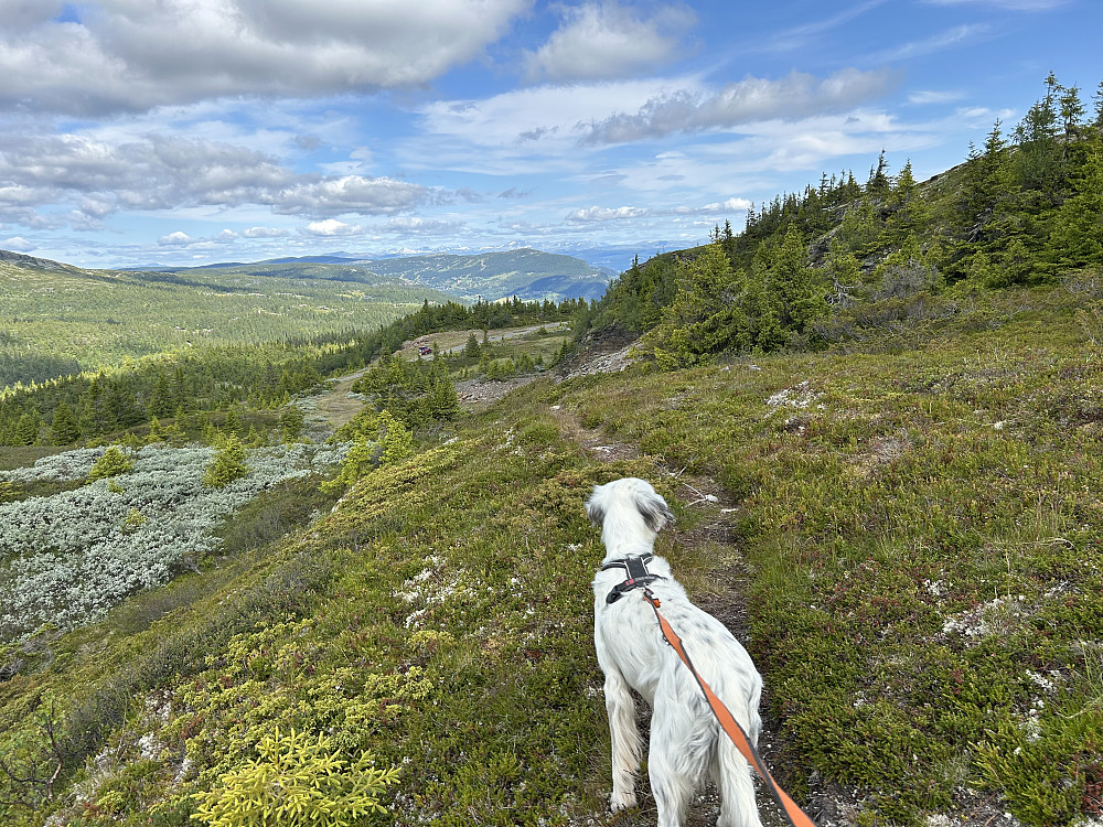 På tur ned mot bilen