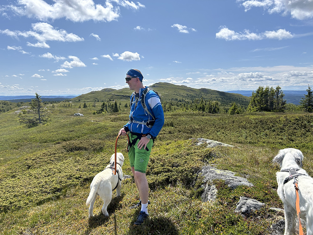 På Skjenafjellet sør