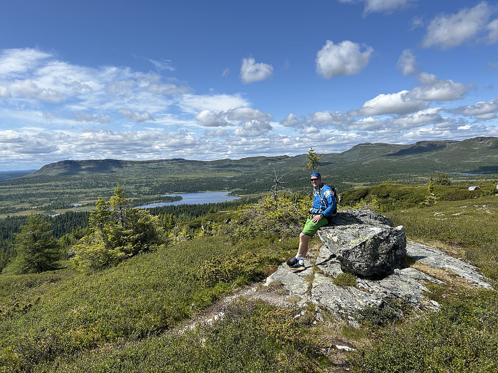 Mot Sjøsetra fra Skjenafjellet