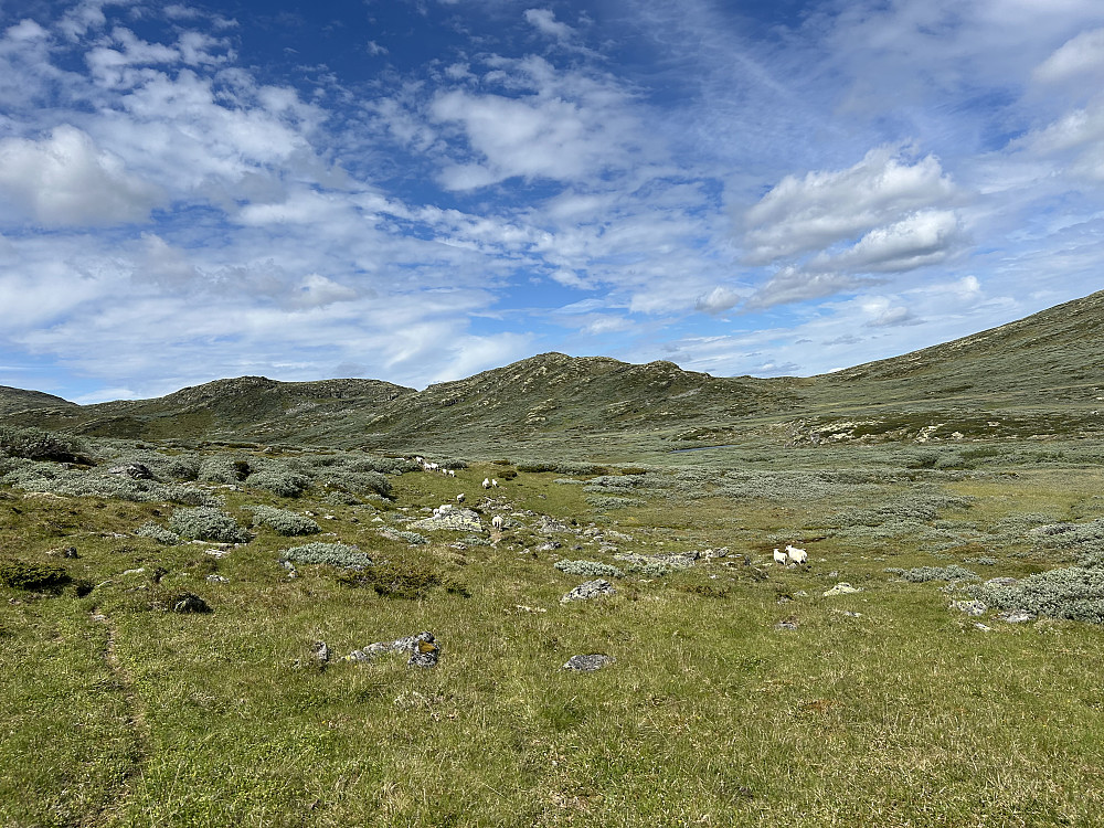 Hestådalen