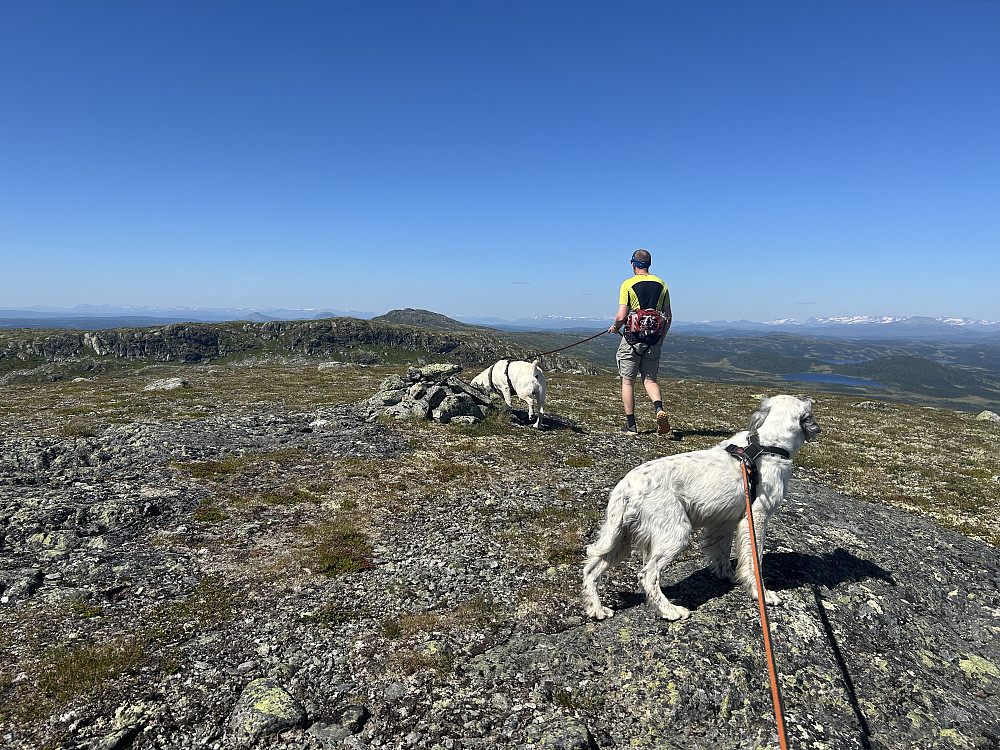 PÅ tur ned fra høyeste Røssjøkollen