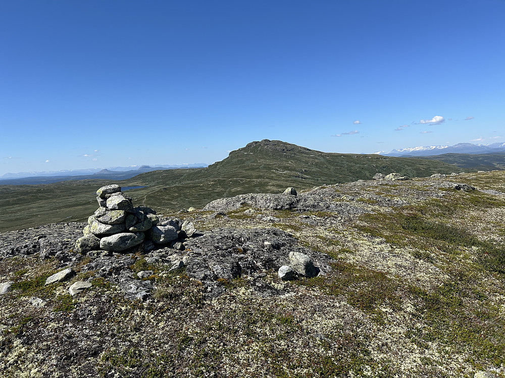 Tørrisknatten