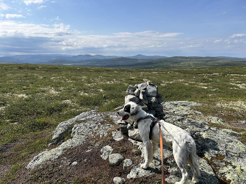 Vetafjellet