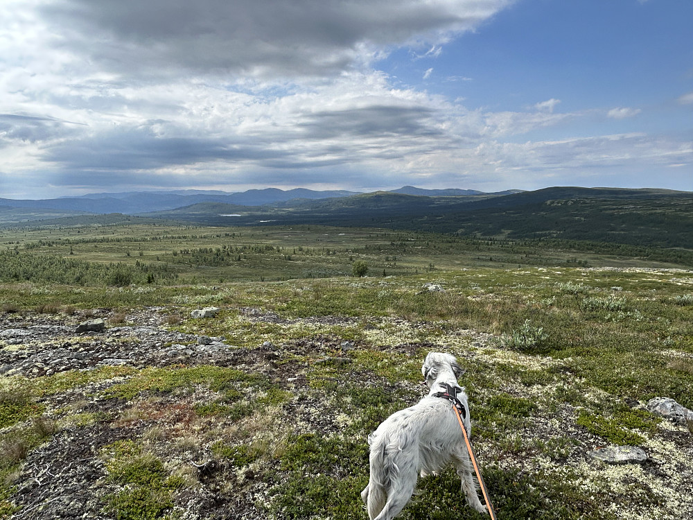 Vetafjellet sør