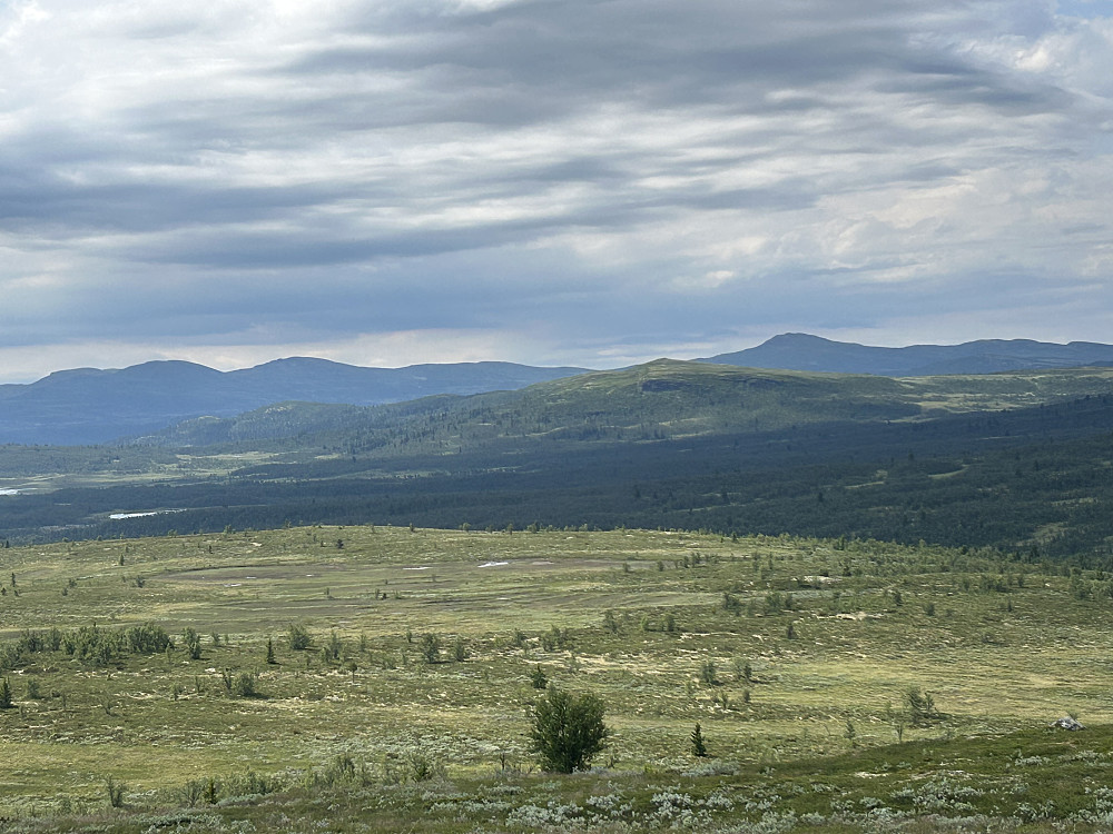 Vetafjellet sør