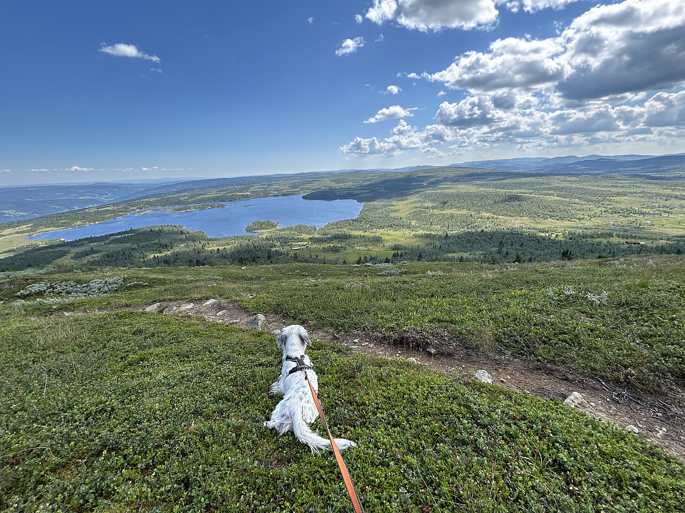 På tur nedover