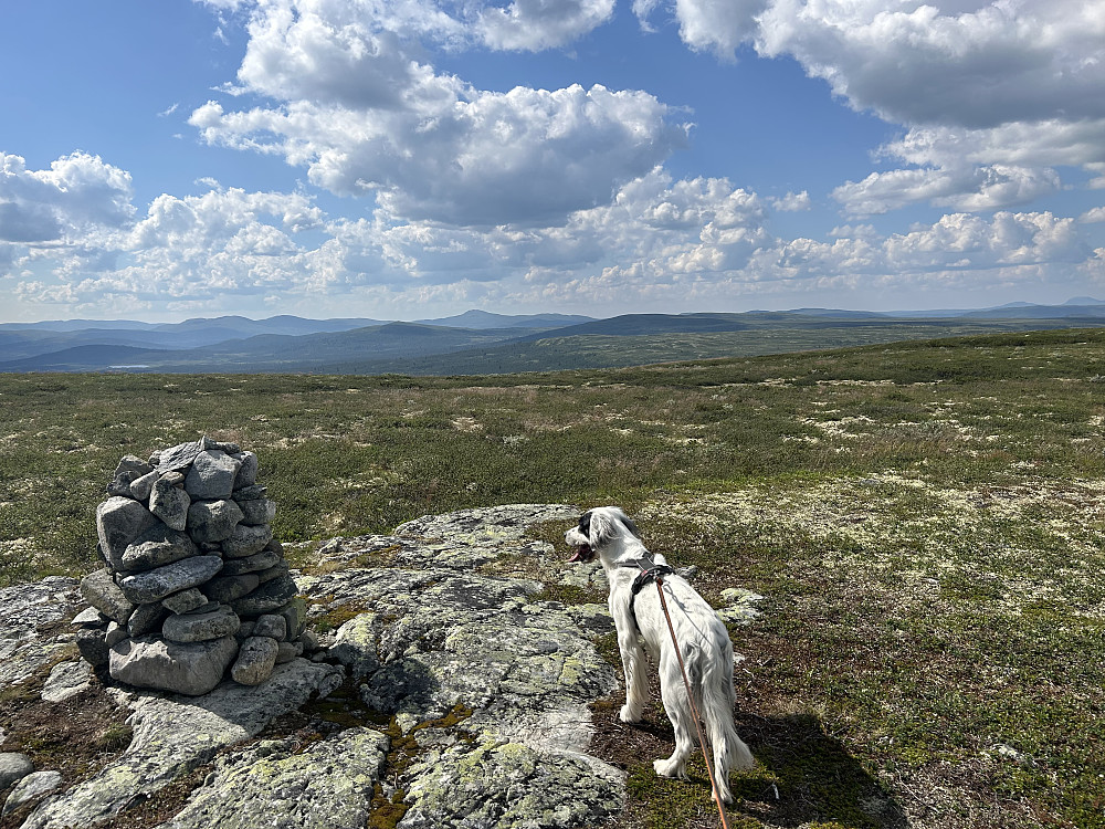 Vetafjellet