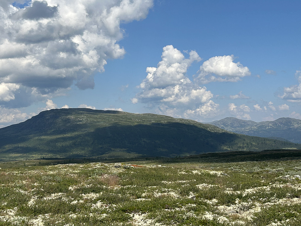 Ongsjøfjellet og Gråhøer fra Vetafjellet