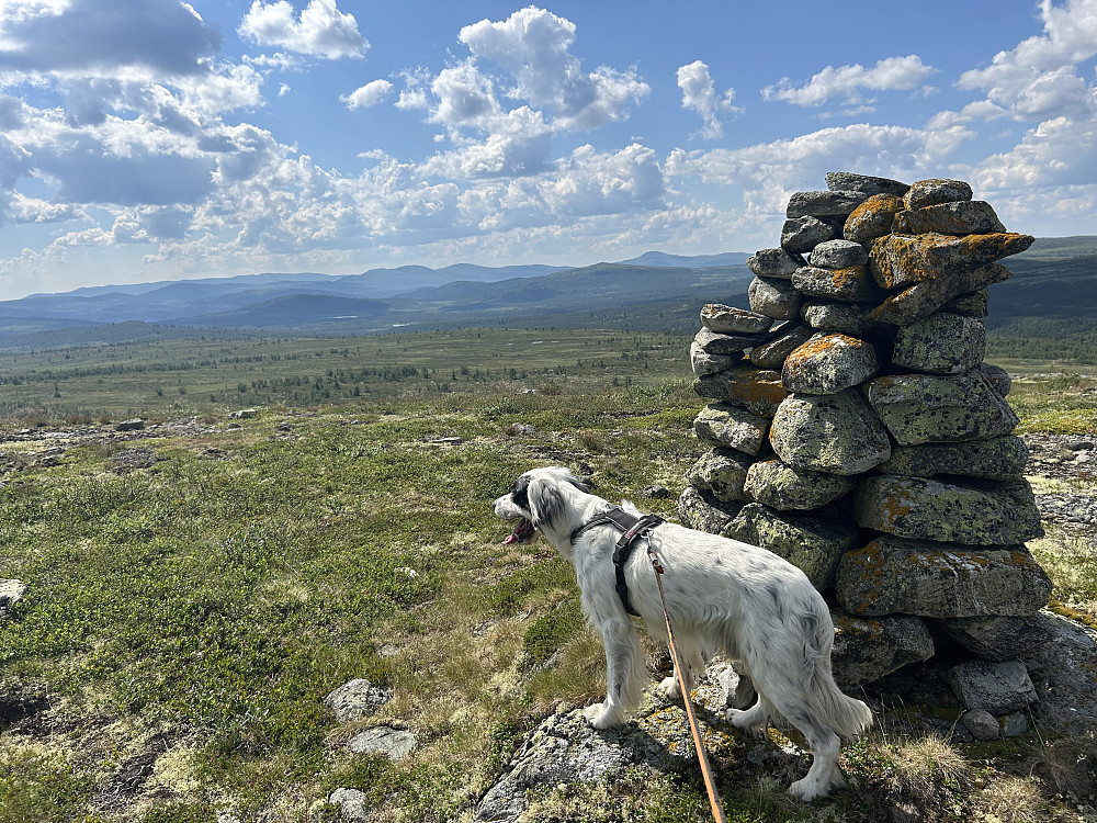 Vetafjellet sør