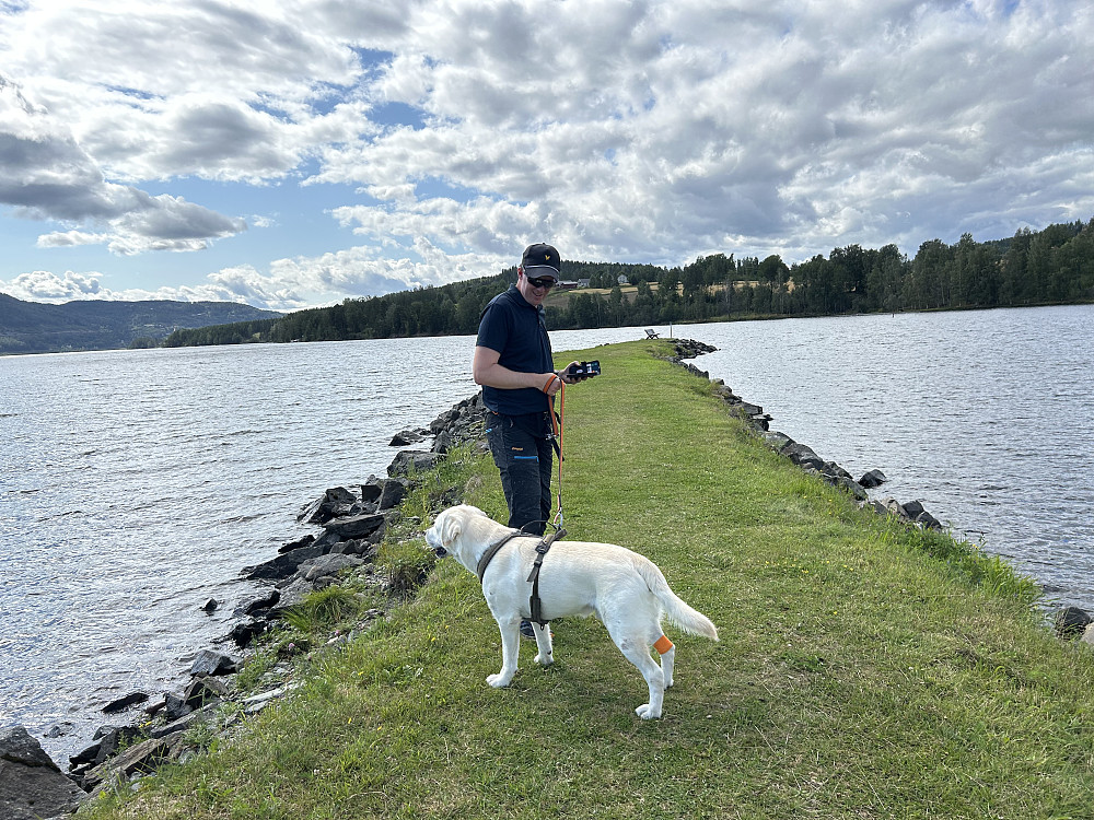Molo ut i Mjøsa