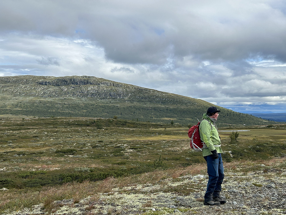 Ongsjøfjellet