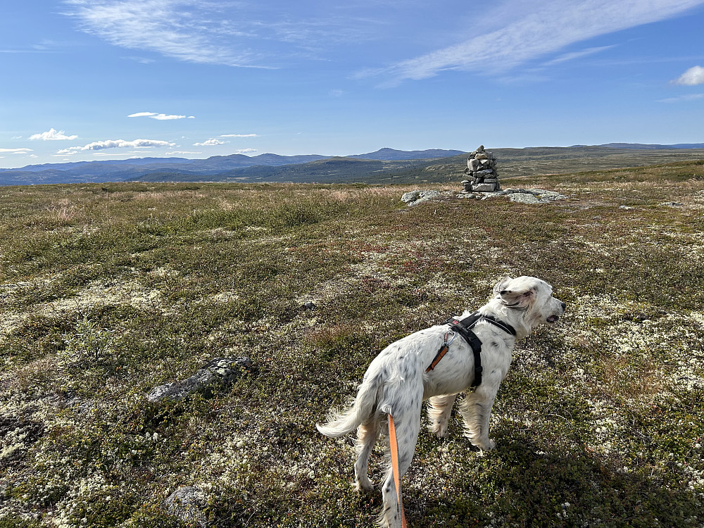 Vetafjellet