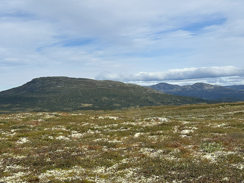 Fra Vestfjellhytta