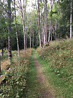 torile_20210812_6114e79f26dc8.jpg